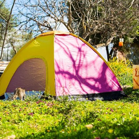 Hotel Camping Panorama Ouazzane Zewnętrze zdjęcie