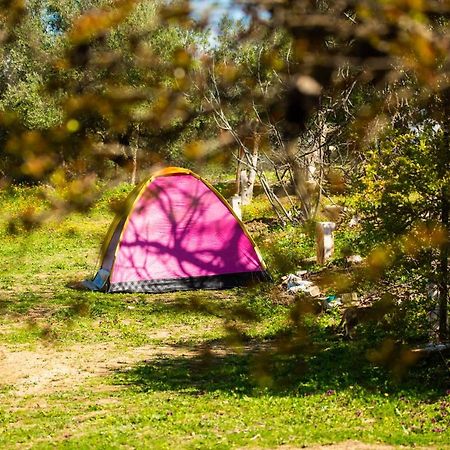 Hotel Camping Panorama Ouazzane Zewnętrze zdjęcie