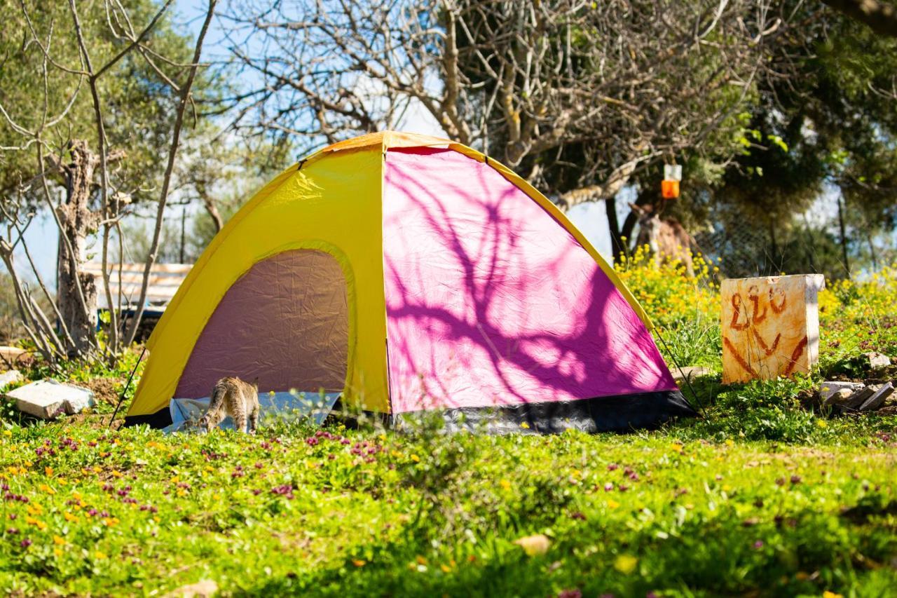 Hotel Camping Panorama Ouazzane Zewnętrze zdjęcie